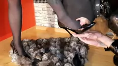Play Dominatrix Worshipped: Shoes Fetish Foot Worship